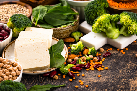 Plant protein
