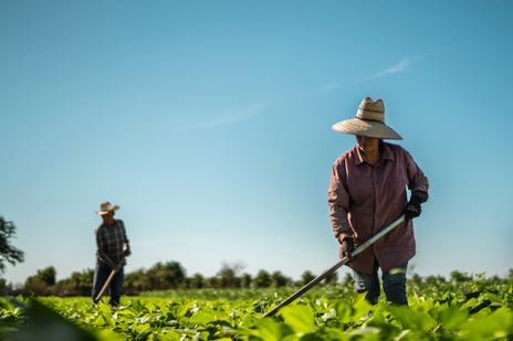 Farmers