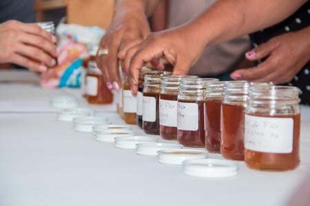 Yucatan honey
