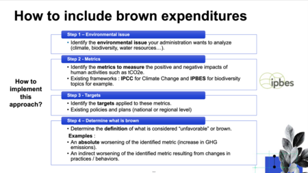 Next Generation Budgets Project