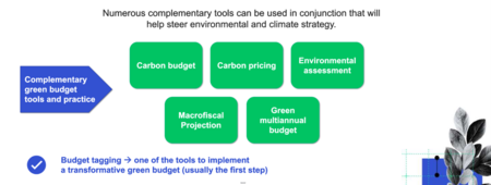 Next Generation Budgets Project