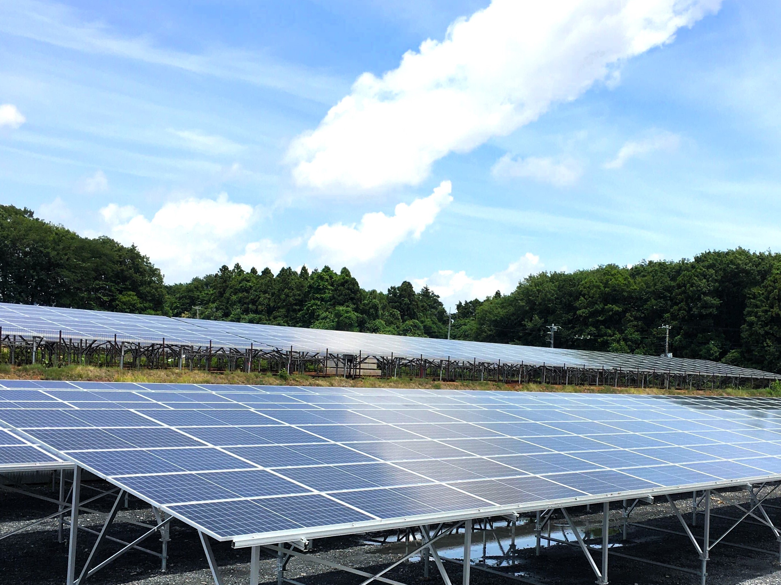 RE100 Member Nike Signs Virtual Power Purchase Agreement (VPPA) in Japan with Mitsui & Co. to cover its facilities with renewable electricity