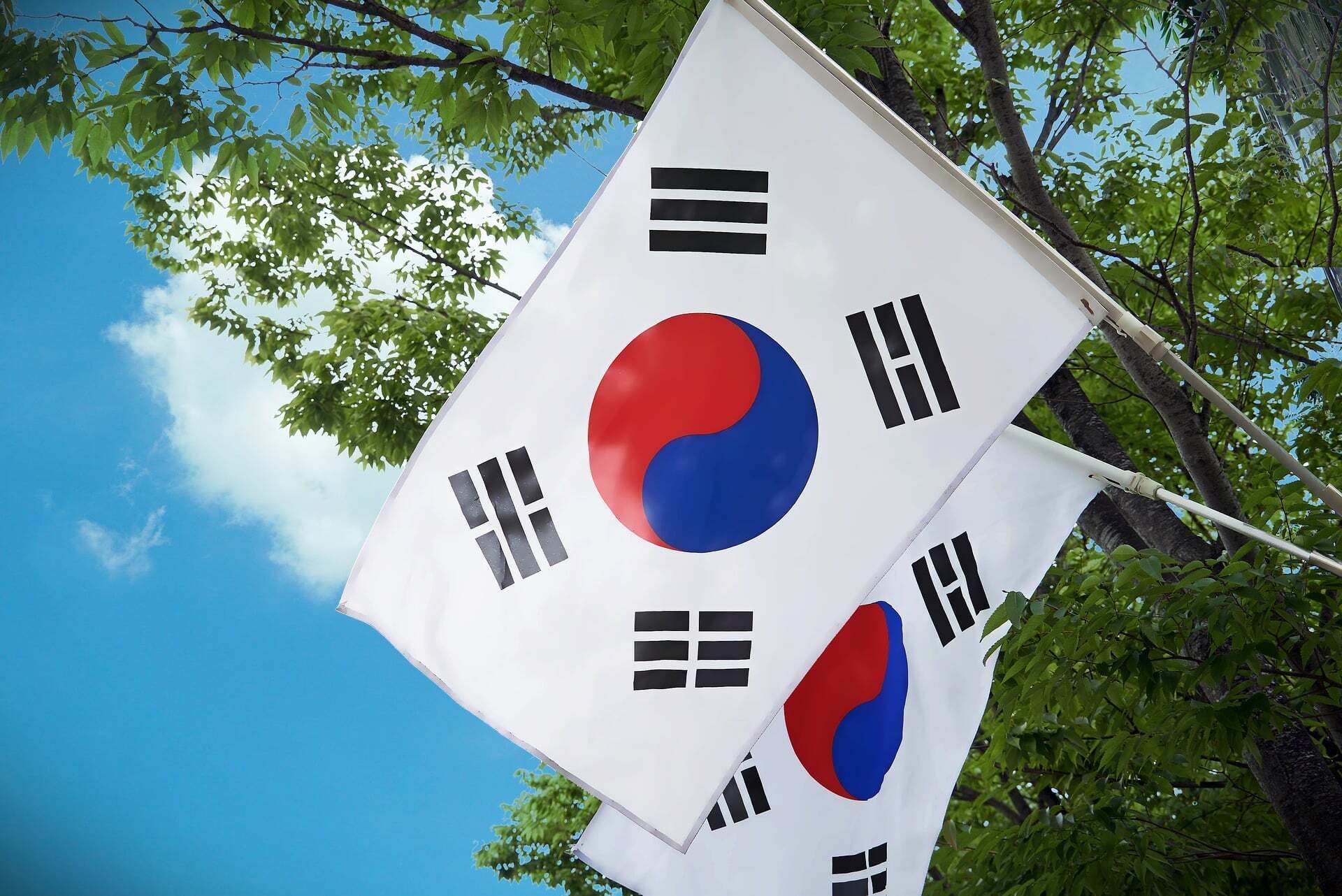 RE100 businesses call for accelerated action on renewable energy in the Republic of Korea