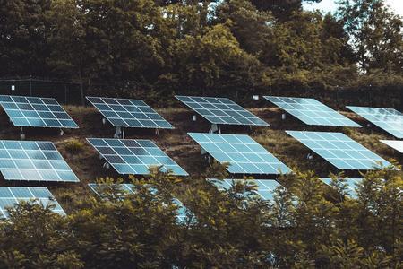 solar panels