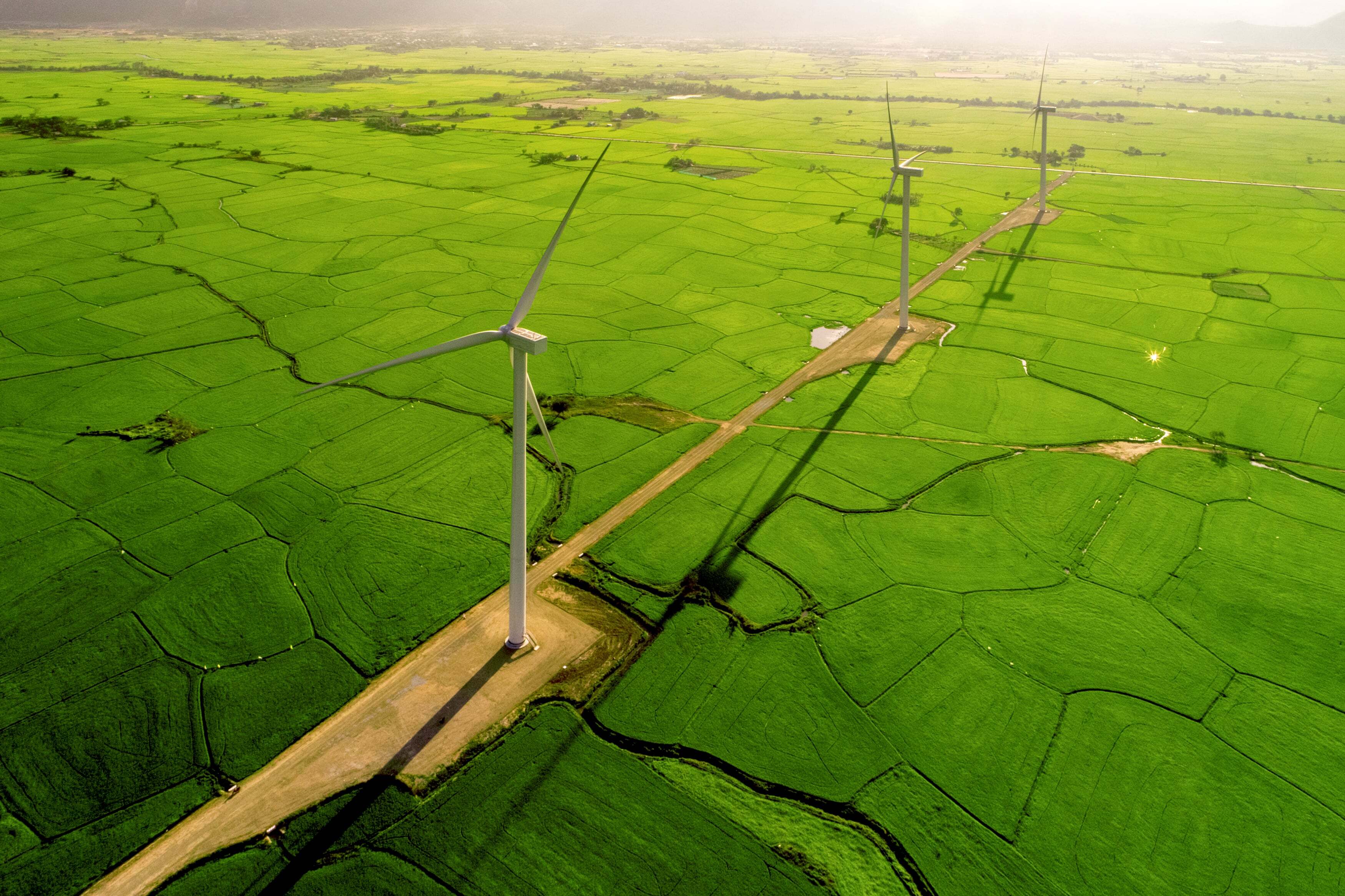 Keep calm and expect better climate policies in 2022